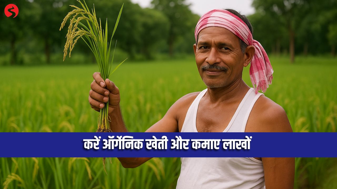 Organic Farming Business: ₹1000 लगाकर 15 दिन की ट्रेनिंग से शुरू करें, कमाई चौंका देगी!